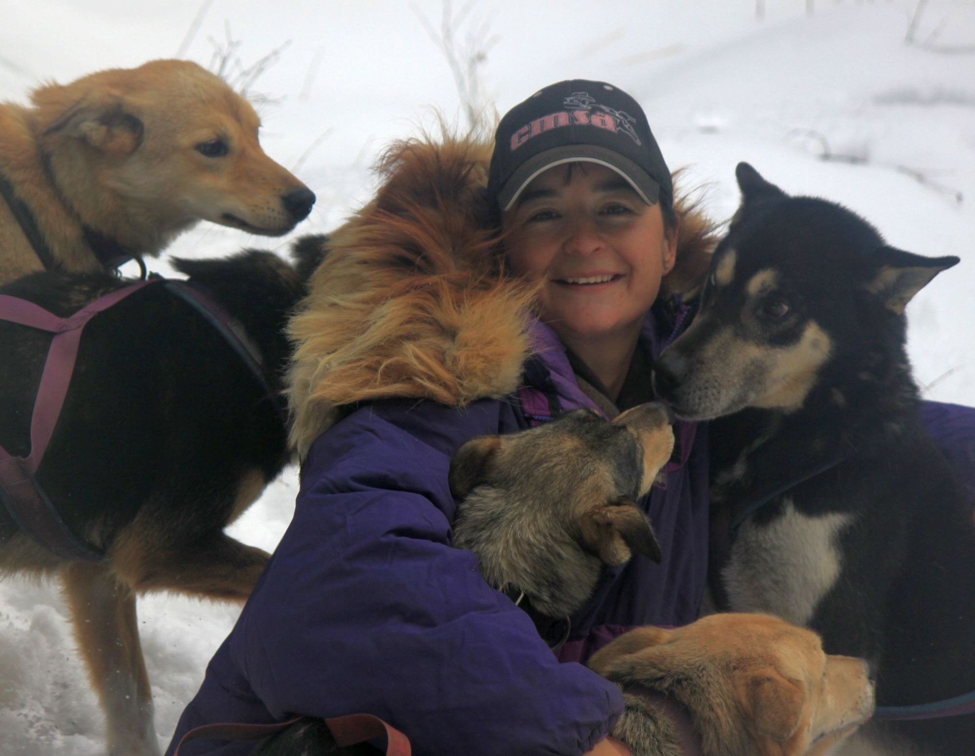 Dogsleddingdecember 309